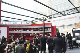 組團(tuán)出擊 銀川17家酒莊及特色產(chǎn)品加工企業(yè)亮相成都