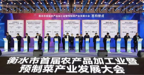 衡水預(yù)制菜產(chǎn)業(yè)發(fā)展步入快車道