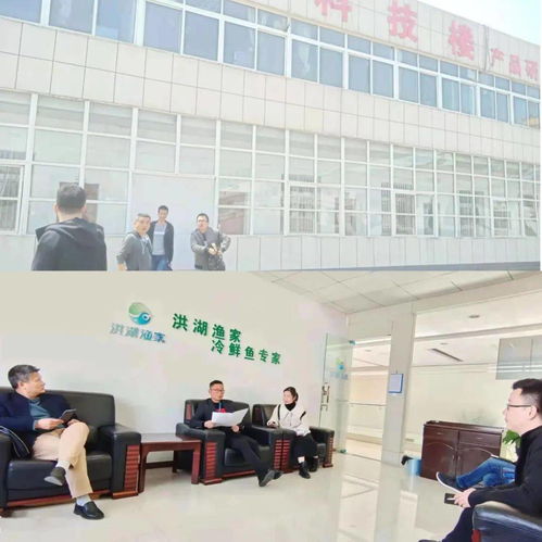 洪湖市統(tǒng)計局積極探索農(nóng)業(yè)強市成功路徑