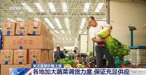 高溫多雨致菜價(jià)上漲 各地多措保障蔬菜供應(yīng)