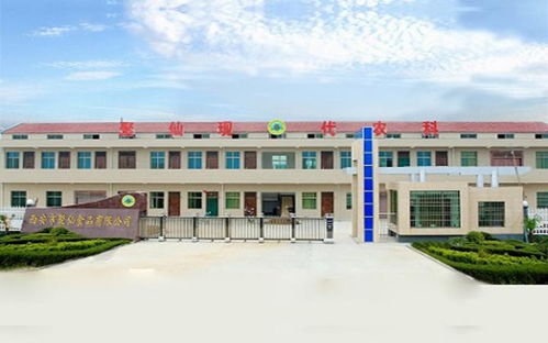 西安市聚仙食品