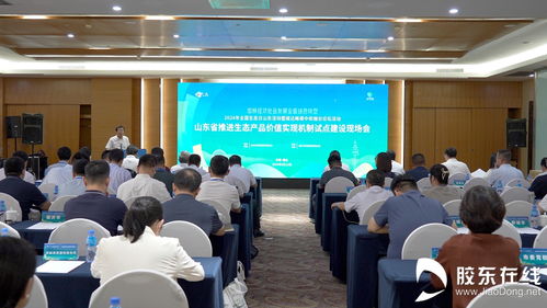 全省推進(jìn)生態(tài)產(chǎn)品價(jià)值實(shí)現(xiàn)機(jī)制試點(diǎn)建設(shè)現(xiàn)場會在煙臺市召開