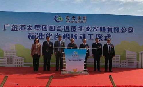 肇慶四會33個項(xiàng)目動工竣工投產(chǎn),總投資108億元