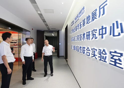 發(fā)揮平臺支撐作用 強化企業(yè)主體地位 加快發(fā)展以高技術(shù)高效能高質(zhì)量為特征的生產(chǎn)力