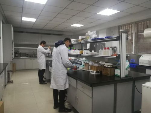 宜賓市縣農(nóng)產(chǎn)品質(zhì)量檢測機構(gòu)全面通過 雙認證