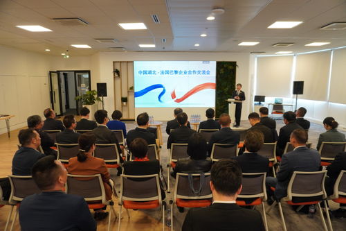 中國湖北 法國巴黎企業(yè)合作交流會成功舉辦