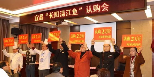 競技扶持公益 助力清江售魚 宜昌 長陽清江魚 烹飪大賽圓滿落幕