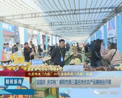 2020迎國慶 慶中秋 朝陽市第三屆名特優(yōu)農(nóng)產(chǎn)品展銷會開幕