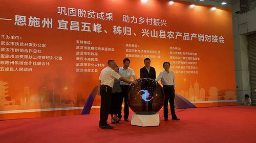 預計采購金額可達500萬元以上 來鳳參加武漢 恩施宜昌農(nóng)產(chǎn)品產(chǎn)銷對接會