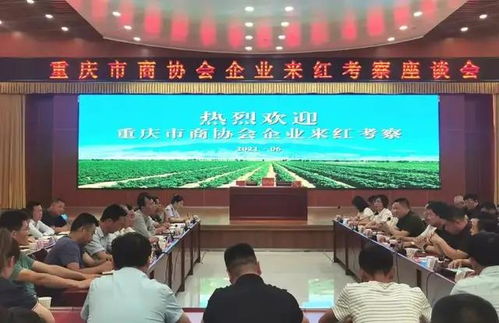 重慶兩家商會赴寧夏考察學習 攜手共促發(fā)展