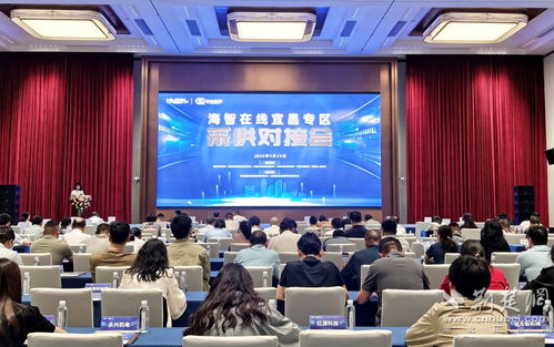 海智在線宜昌專區(qū)舉辦推介會 架橋鑄鏈 對接采供