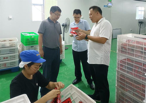 川渝兩地肉制品食品安全風(fēng)險研判座談會在自貢舉辦