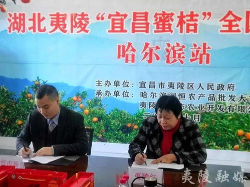 夷陵特產(chǎn)走出去