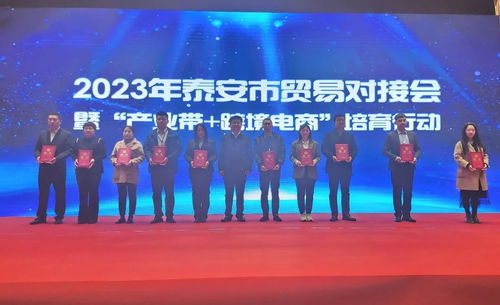 地市商務(wù) 2023年泰安市貿(mào)易對接會暨 產(chǎn)業(yè)帶 跨境電商 培育行動成功舉辦