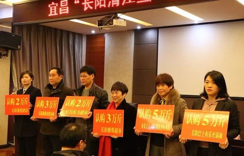 競技扶持公益 助力清江售魚 宜昌 長陽清江魚 烹飪大賽圓滿落幕