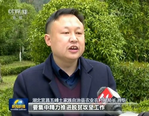 真抓實(shí)干拼搏進(jìn)取 確保取得脫貧攻堅(jiān)最后勝利