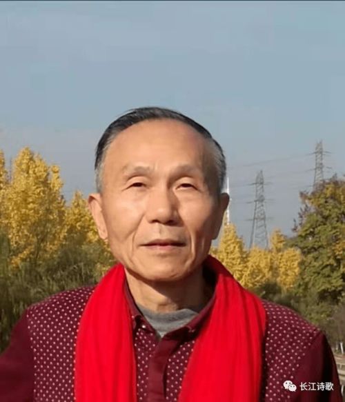 鳳凰古韻詩社詩選 胡洪濤的詩